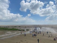 -启东黄金海滩景区
