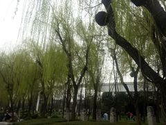 -西安市长乐公园