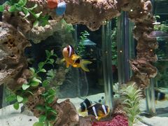 -太平洋海底世界