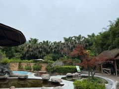 -雅安楠水阁温泉酒店