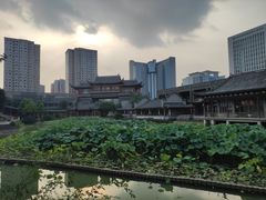 -龙潭水乡