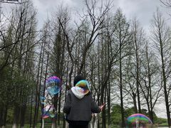 -艾溪湖湿地公园