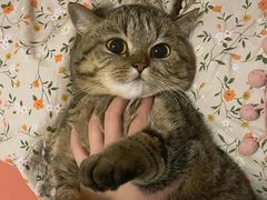 -月枫堂(长春这有山店)