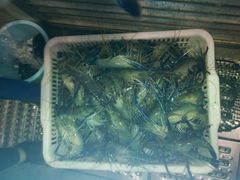 -蒸上鲜海鲜蒸汽蒸菜主题餐厅(高新店)