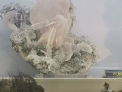 -郴州西站