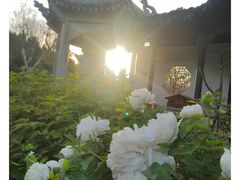 -花洲书院