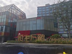 -恒生万鹂广场(唐镇店)