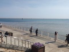 -碧海金沙
