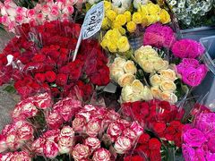 -循礼门鲜花花市(武汉循礼门店)