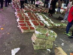 -菜园坝水果市场