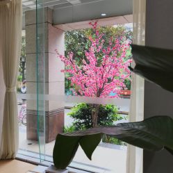 -榕树上·瑜伽普拉提