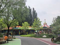 -大望京公园