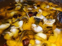 水煮乌江鱼-雲蜀龙阁·金牌水煮鱼(方庄店)