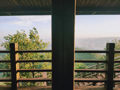 -长虫山生态公园风景林