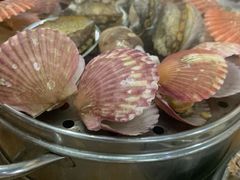 海鲜蒸锅-九层海鲜塔(市南店)