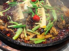 -老板恋上鱼(恒隆广场店)