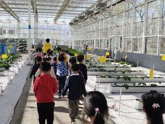 -世纪飞马幼儿园(西城校区)