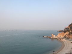 -长岛万鸟岛