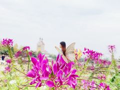 -花博汇(知音花月夜)