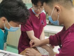 -北京观赏动物医院·24小时大型综合·猫专科·异宠专科