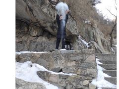 -泰山风景名胜区