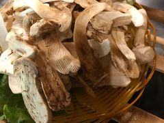 -易门野生菌府·菌海森林(月牙潭公园店)