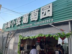 -马陆小张葡萄园农家乐