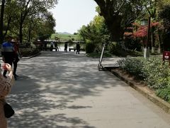 -邓小平故里