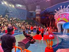 -烟台海昌鲸鲨海洋公园