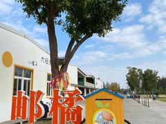 -前小桔亲子创意农场·草莓采摘·露营烧烤