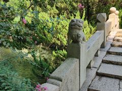 -上海醉白池公园
