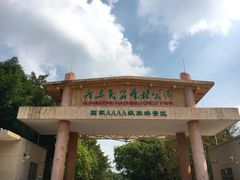 -广东茂名森林公园
