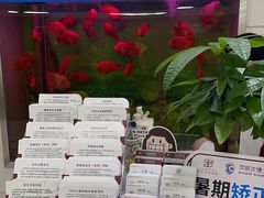 -雅悦齿科(顾村公园店)