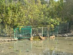 -溱湖国家湿地公园