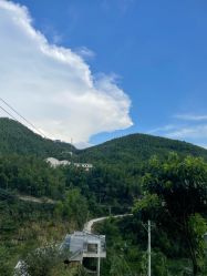 -Zoolung Zoolung动物主题公园(海信广场店)