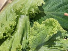 -西塔金胖胖首尔自助烤肉·街头小吃大排档