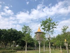 -顺峰山公园