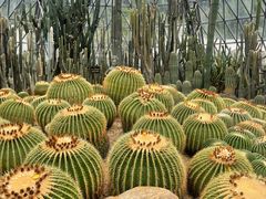 -深圳仙湖植物园