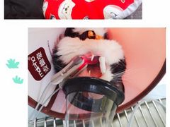 -牧马人宠物医院