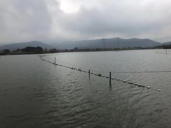 -长田漾湿地公园