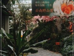 -滕头生态酒店(奉化店)