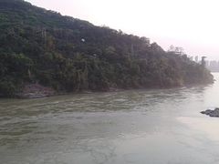 -西双版纳原始森林公园