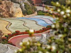 -彩色沙林风景区