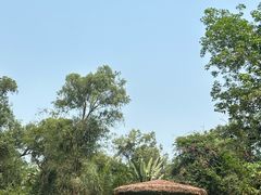 -海南热带野生动植物园