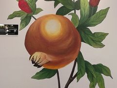 -Mr.Fruits水果先生(北京市百货大楼店)
