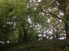 -济南南郊宾馆