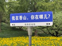 -香山公园