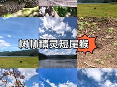 -普达措国家公园