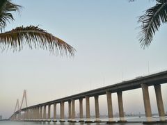 -中澳友谊花园