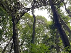 -青城道汤池